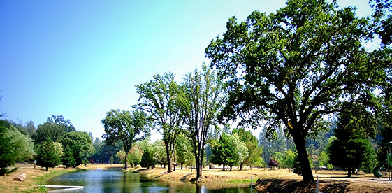 whereishappiness_mandalaretreatcenter_usa_2_561x276 Mandala retreat center – Cobb Mountain, Nothern California